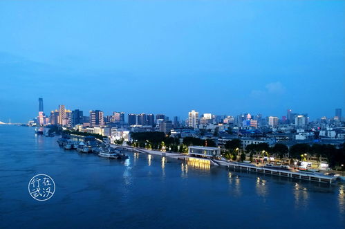 从一线城市回武汉,你后悔吗