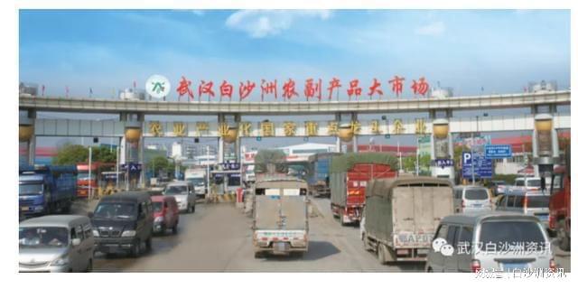 白沙洲大市场是否搬迁海吉星?官方回应!
